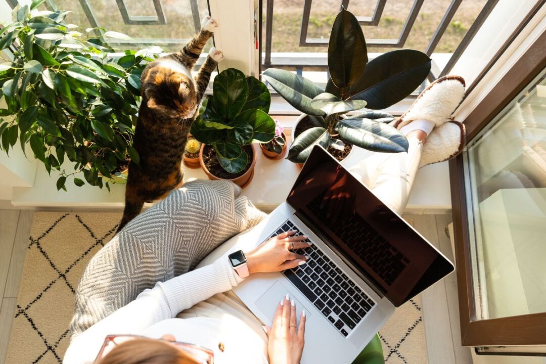 Lavoro al femminile: le professioni più richieste