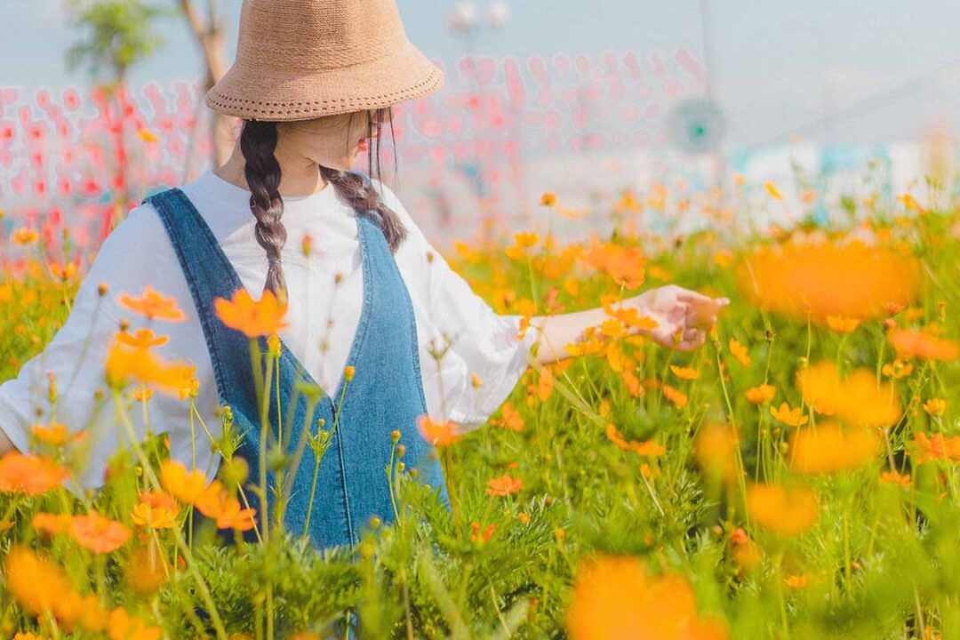 Donne fotografe contemporanee