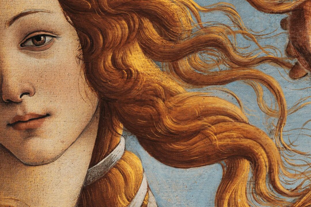 La Venere come rappresentazione di femminilità nella storia dell'arte