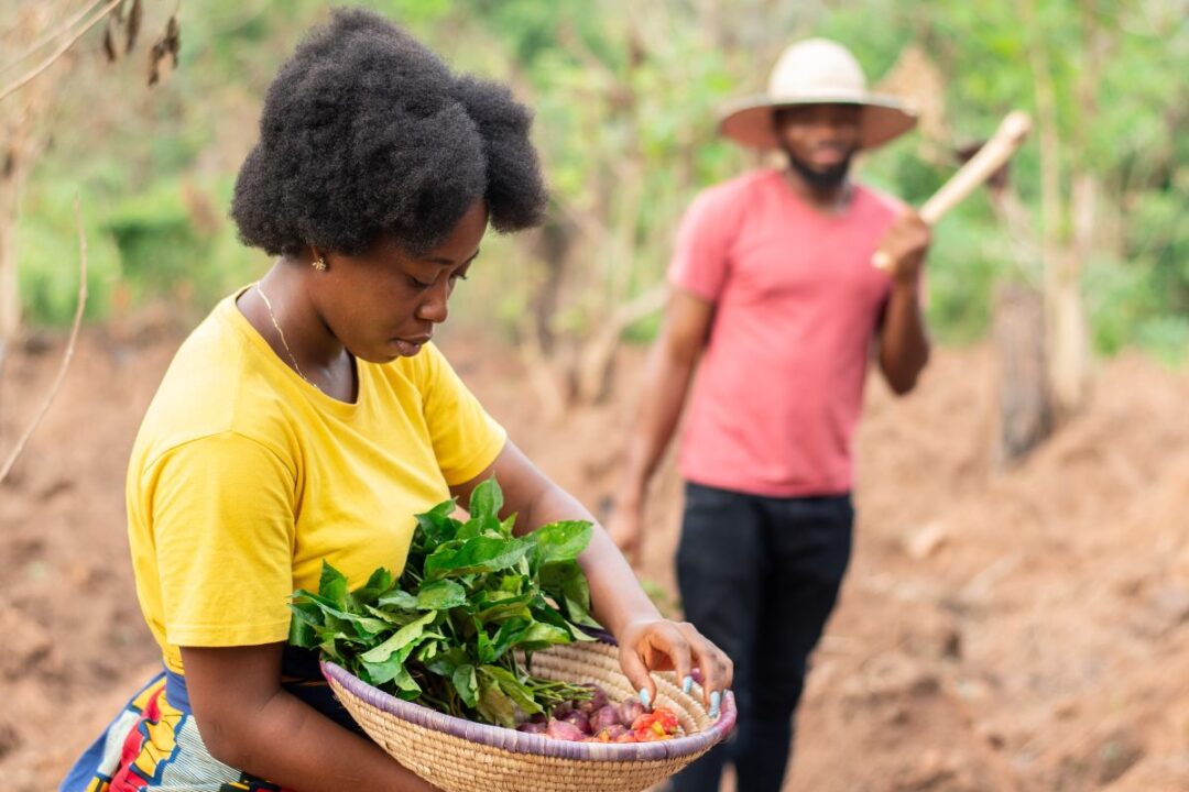 Lavoratrice agricola
