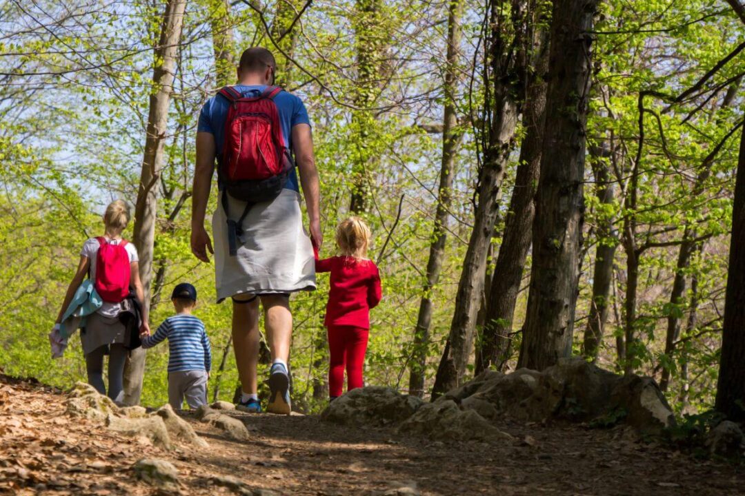 Quanto costa aprire un agriturismo 