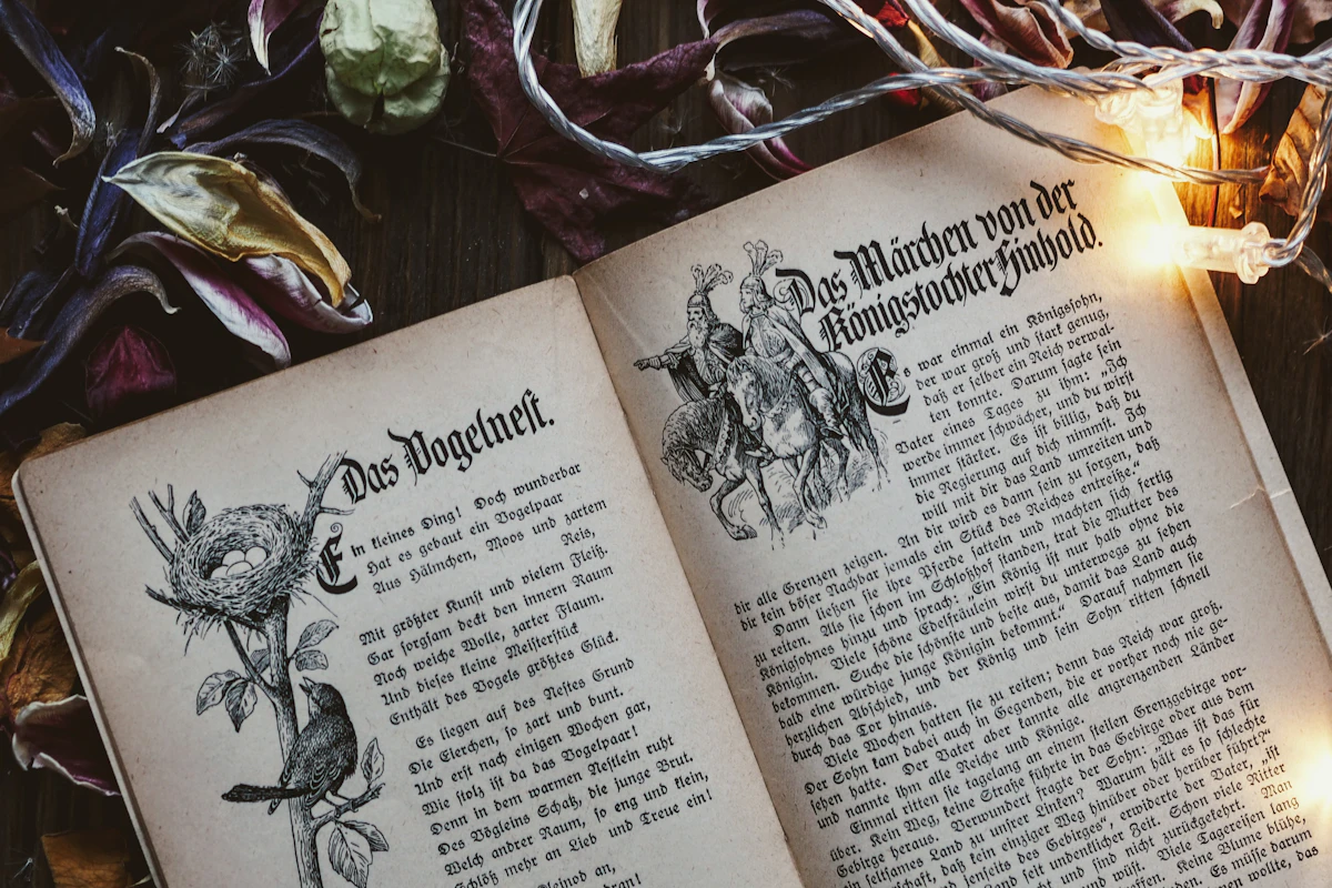 Libro antico illustrato aperto tra luci e foglie secche