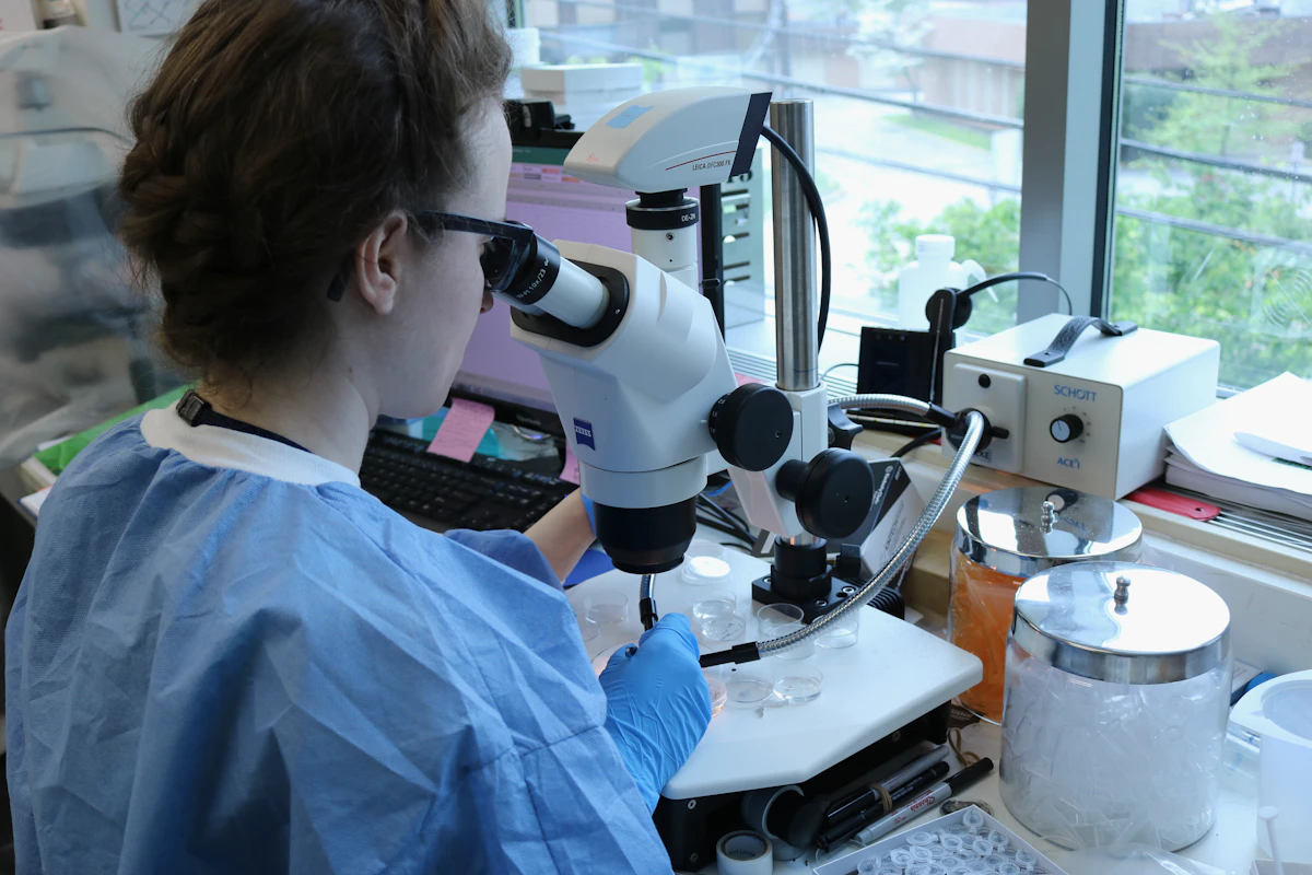 Scienziata che guarda al microscopio in un laboratorio di ricerca